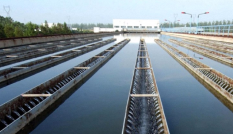 166173814522266259D6.jpg 未標題-1.jpg